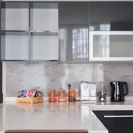 Modern Duplex Bosphorus View With Teracce Apartment