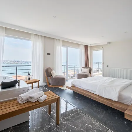 Modern Bosphorus View *