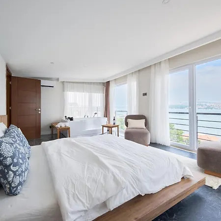 Apartment Modern Duplex Bosphorus View With Teracce Istanbul