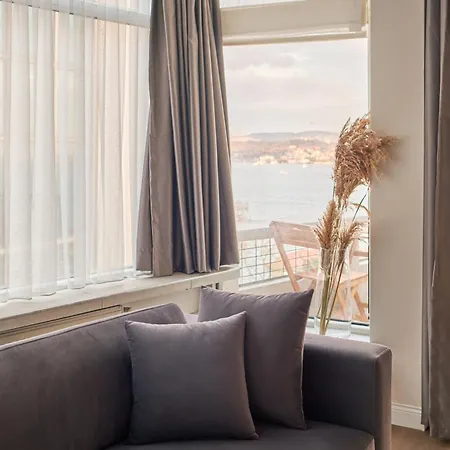 Modern Bosphorus View